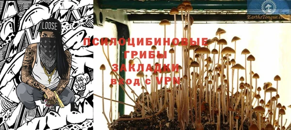 бошки Богданович
