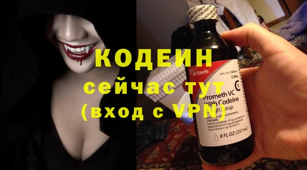 шишки Белокуриха