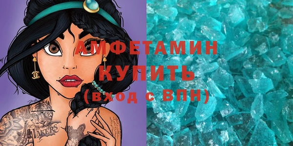 шишки Белокуриха