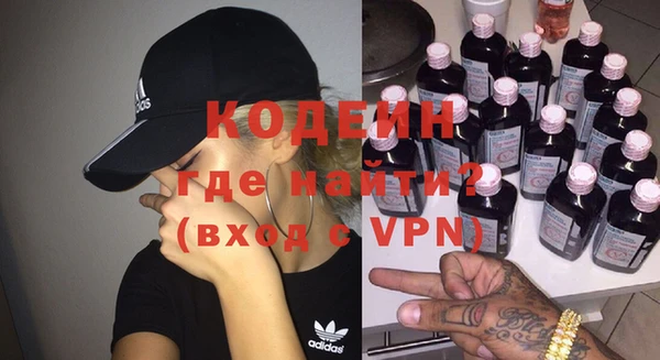 шишки Белокуриха