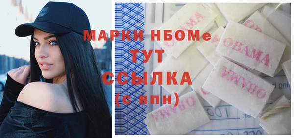 шишки Белокуриха