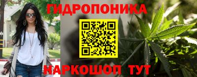 PSILOCYBIN Гусь-Хрустальный