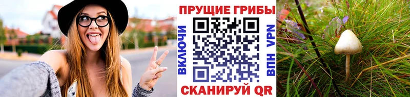 Галлюциногенные грибы Magic Shrooms  мега зеркало  Дагестанские Огни 