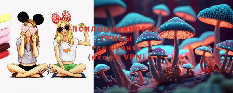 Псилоцибиновые грибы MAGIC MUSHROOMS  что такое наркотик  Дагестанские Огни 