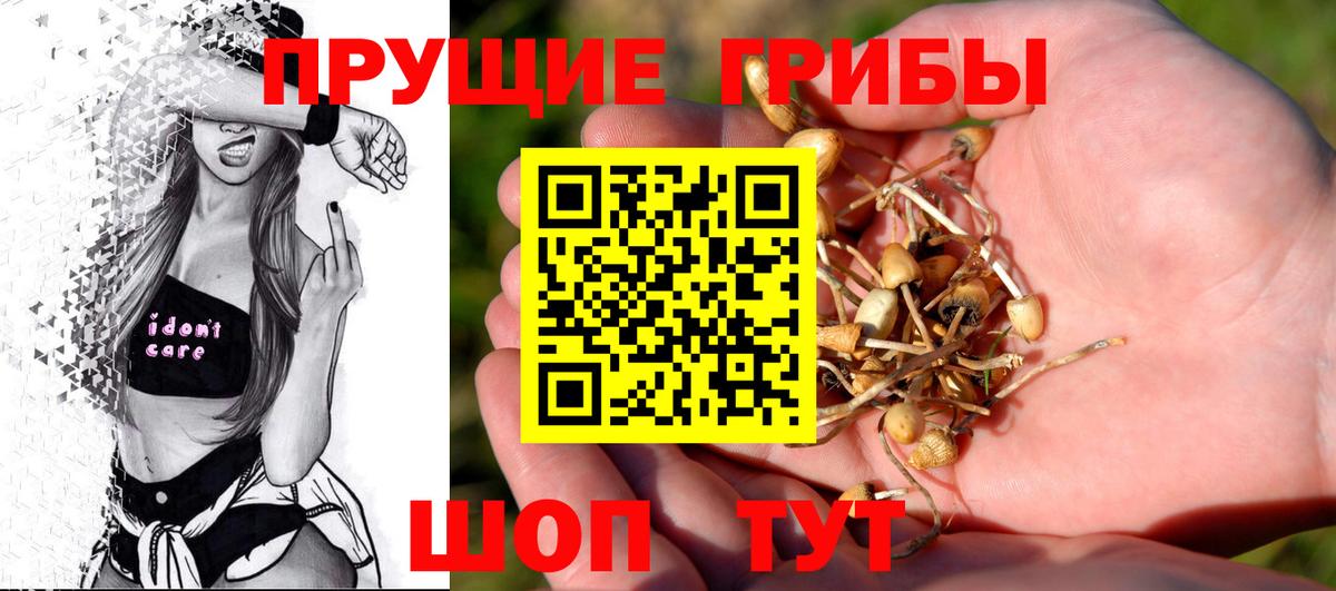 Псилоцибиновые грибы мухоморы Дагестанские Огни